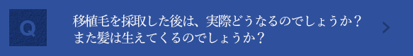 移植毛を採取した後は、実際どうなるのでしょうか？また髪は生えてくるのでしょうか？